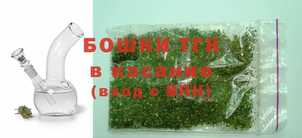шишки Новодвинск