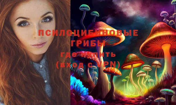 герыч Новозыбков
