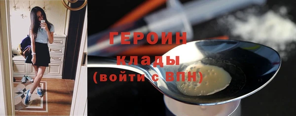 шишки Новодвинск