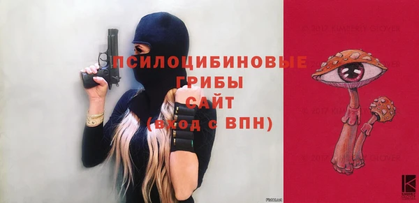 шишки Новодвинск