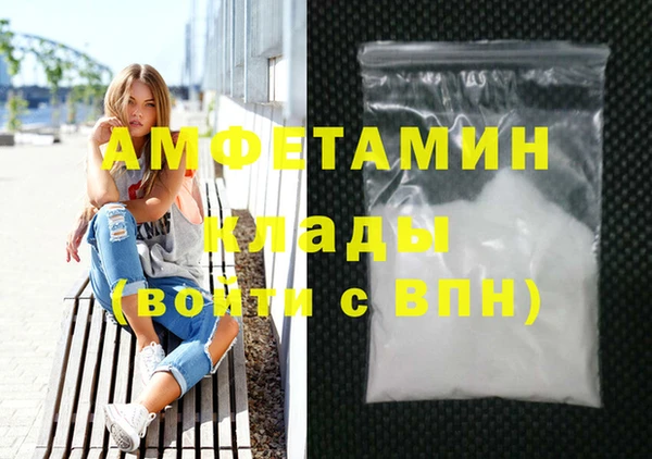 шишки Новодвинск