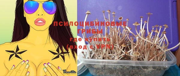 шишки Новодвинск