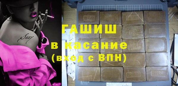 индика Беломорск