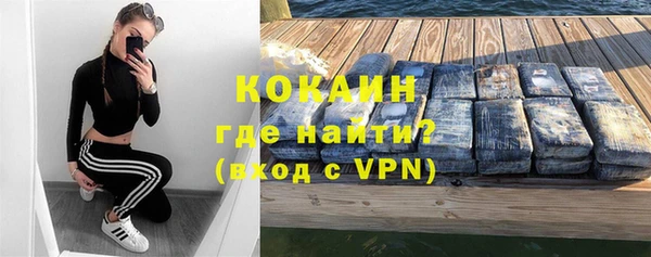 шишки Новодвинск