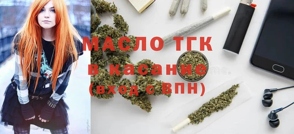 шишки Новодвинск