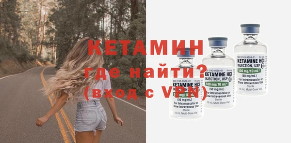 шишки Новодвинск