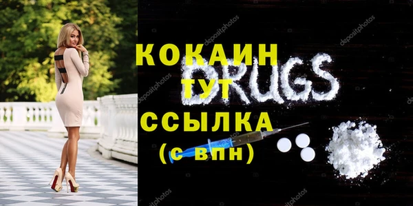 шишки Новодвинск