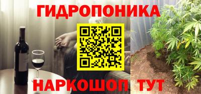 ECSTASY Канаш