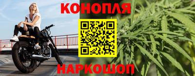 стаф Абакан