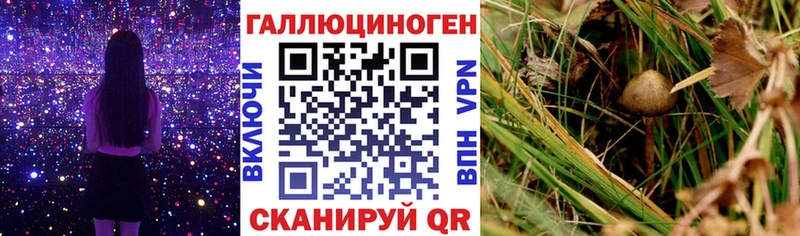 ссылка на мегу как зайти  Скопин  Галлюциногенные грибы мухоморы 