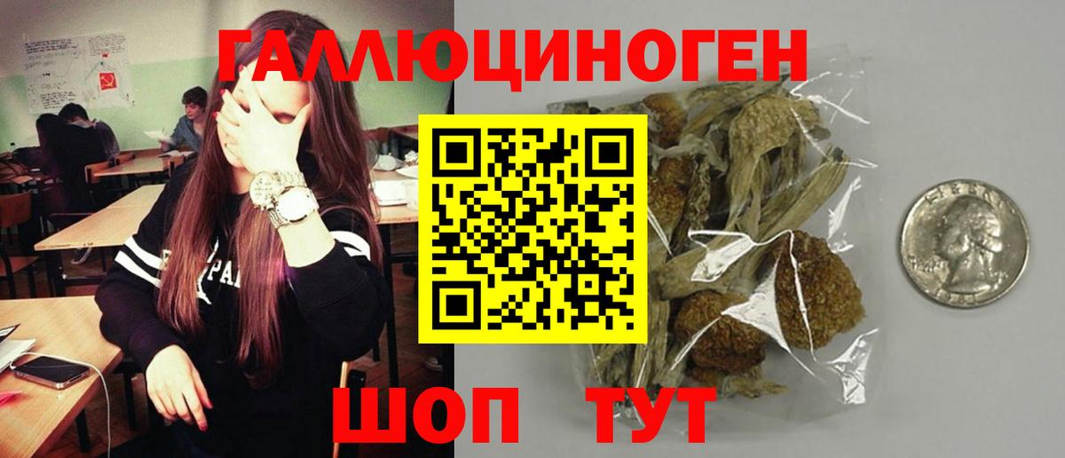 Скопин  Псилоцибиновые грибы Psilocybine cubensis  Вход с VPN  Галлюциногенные грибы MAGIC MUSHROOMS 